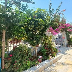 Vila Ester